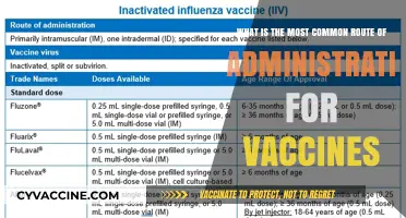 Understanding Vaccine Delivery: The Most Common Administration Route Explained