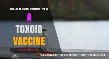 Understanding Toxoid Vaccines: The Most Common Type Explained