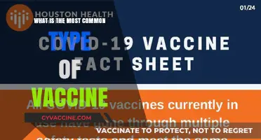 Exploring the Most Common Vaccine Type: Uses, Benefits, and Safety