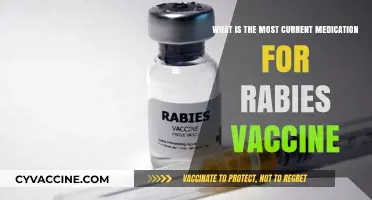 Latest Rabies Vaccine Medication: Current Treatment and Prevention Options