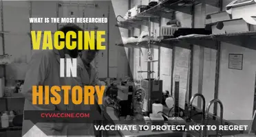 Unveiling the Most Studied Vaccine: A Historical Research Overview