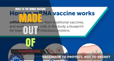 Understanding mRNA Vaccines: Key Components and Their Role in Immunity