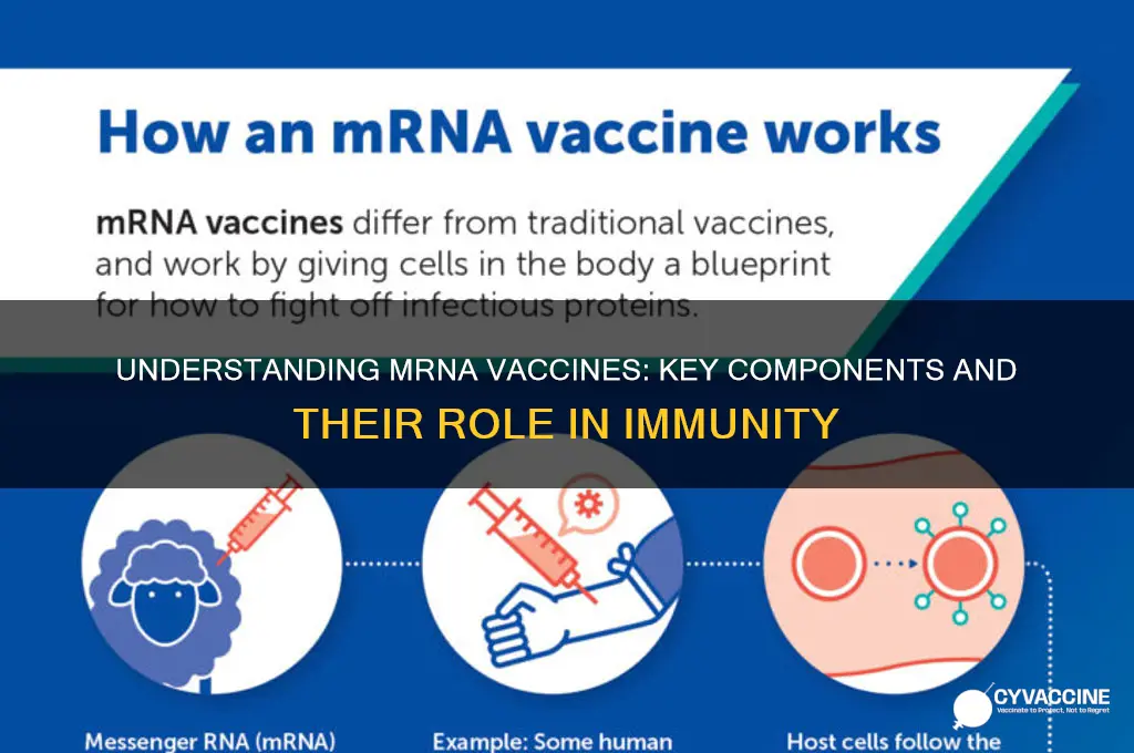what is the mrna vaccine made out of
