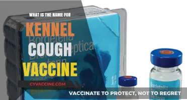 Understanding Kennel Cough: The Essential Vaccine Name and Protection Guide