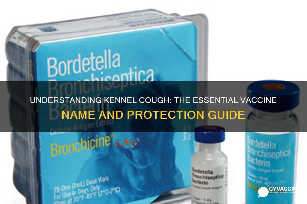 what is the name for kennel cough vaccine