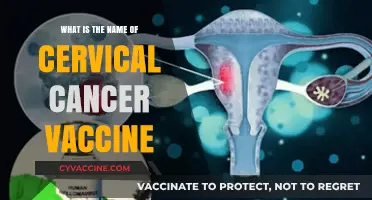 Cervical Cancer Vaccine: Understanding the Name and Its Importance