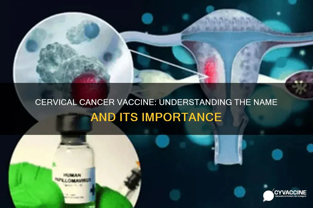 what is the name of cervical cancer vaccine