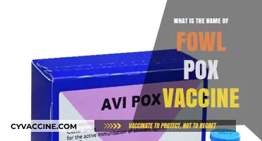 Understanding Fowl Pox: The Essential Vaccine Name and Its Importance
