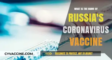 Russia's COVID-19 Vaccine: Unveiling the Name and Its Global Impact