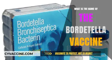 Understanding Bordetella: The Essential Vaccine Name and Its Importance