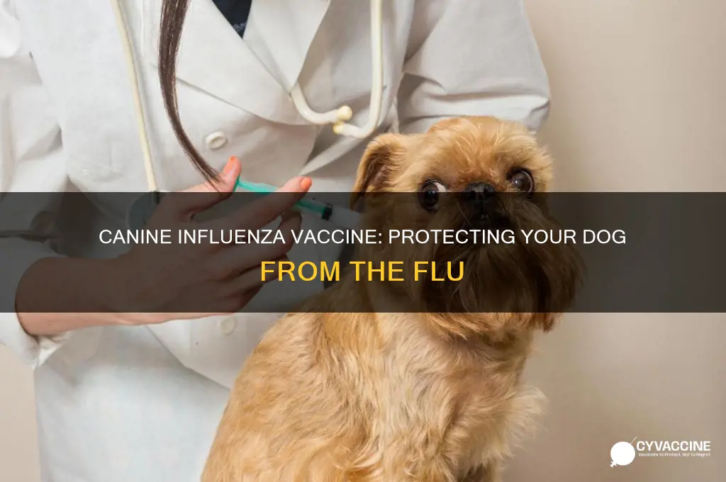 what is the name of the canine influenza vaccine