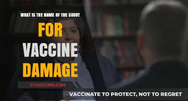 Understanding the Court Handling Vaccine Injury Compensation Claims