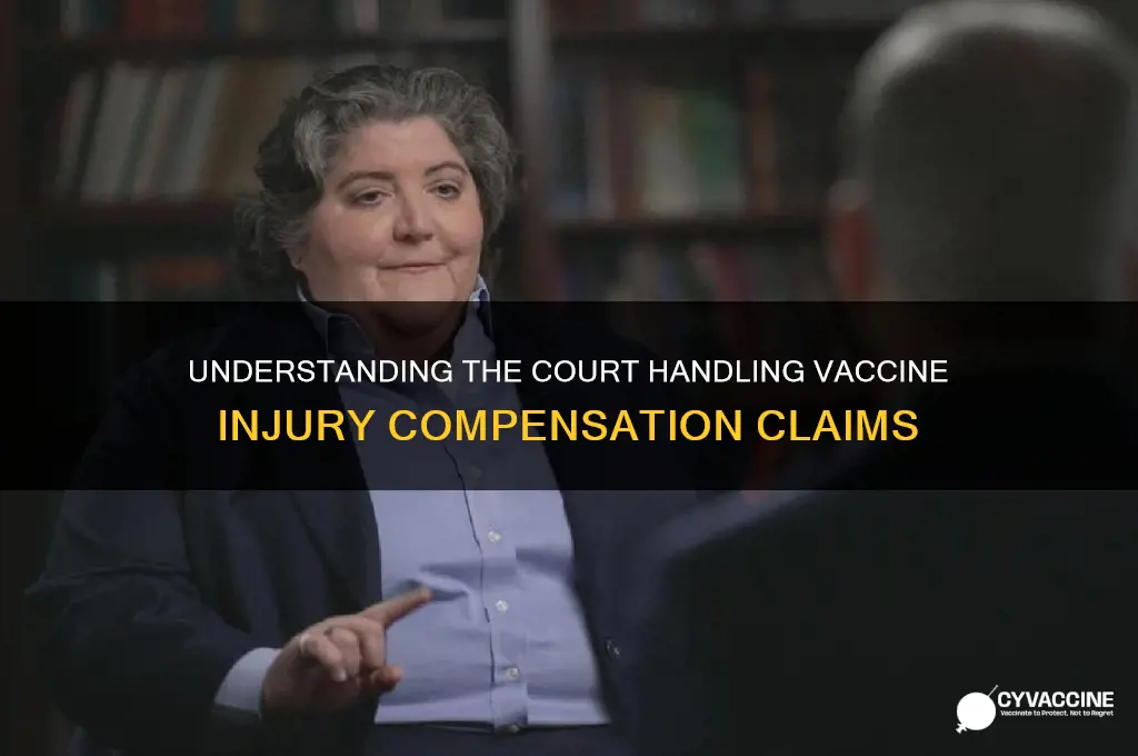 what is the name of the court for vaccine damage