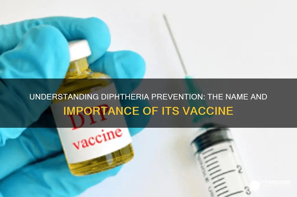 what is the name of the diphtheria vaccine