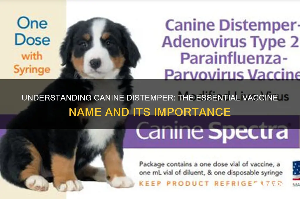 what is the name of the distemper vaccine