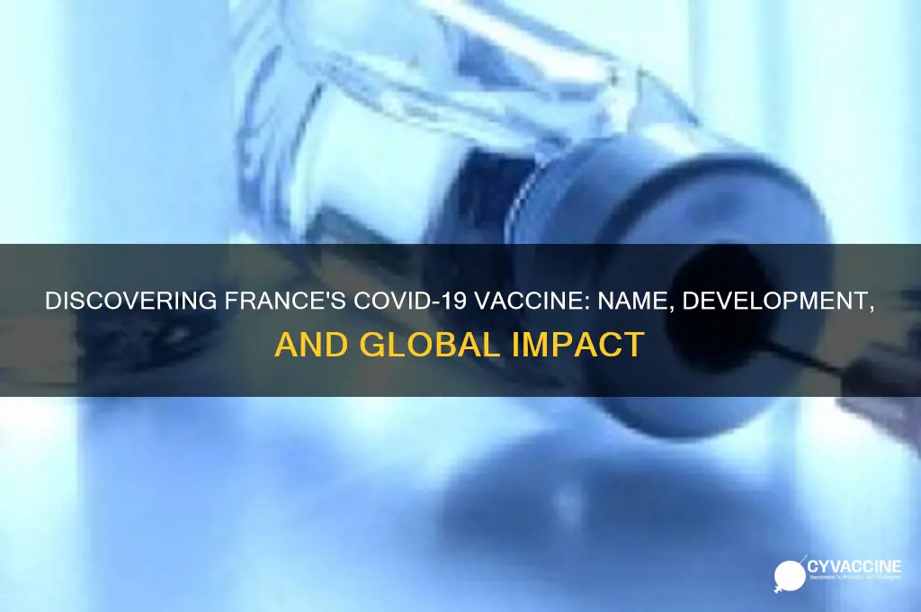 what is the name of the french vaccine