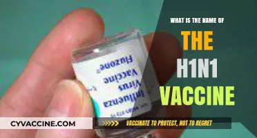 Understanding the H1N1 Vaccine: Its Official Name and Importance