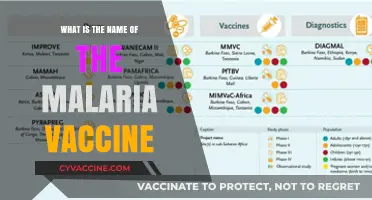 Discovering the Name and Impact of the Malaria Vaccine