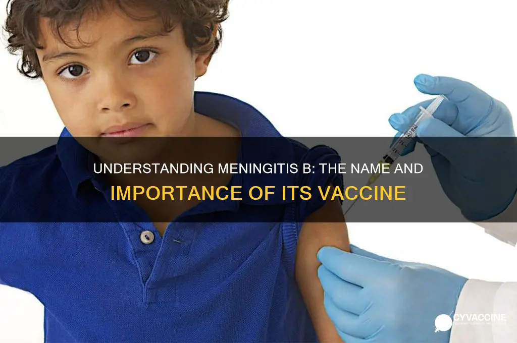 what is the name of the meningitis b vaccine