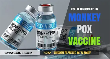 Understanding Monkeypox: The Name and Importance of Its Vaccine