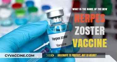 Discover the Latest Herpes Zoster Vaccine Name and Benefits
