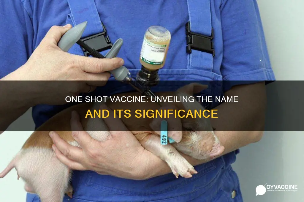 what is the name of the one shot vaccine