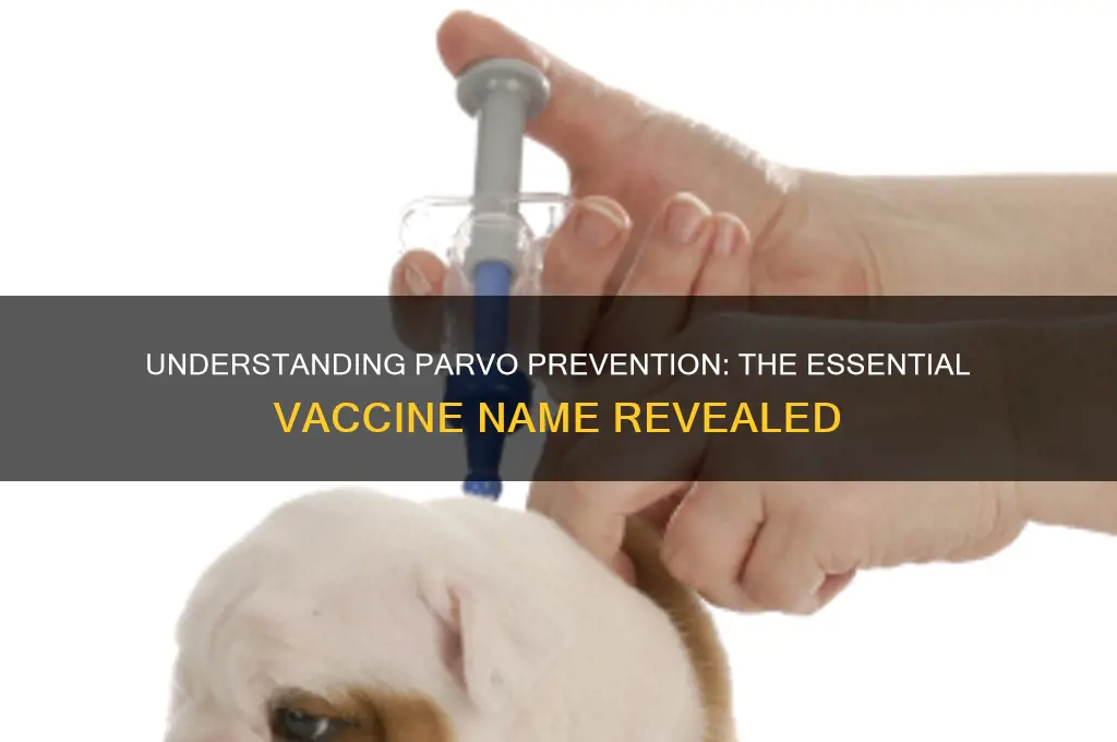 what is the name of the parvo vaccine