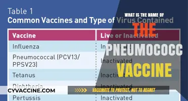 Understanding Pneumococcal Vaccines: Names, Types, and Their Importance