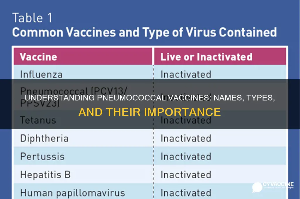 what is the name of the pneumococcal vaccine