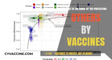 Vaccine-Induced Immunity: Safeguarding Communities Through Protective Immunization