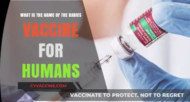 Understanding Rabies Prevention: The Essential Human Vaccine Name Revealed
