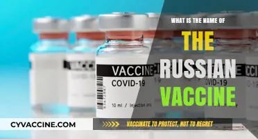 Understanding Russia's COVID-19 Vaccine: The Name and Its Significance