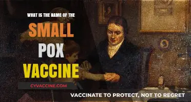 Unveiling the Smallpox Vaccine: Its Name and Historical Significance