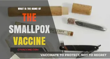 Unveiling the Smallpox Vaccine: Its Name, History, and Impact