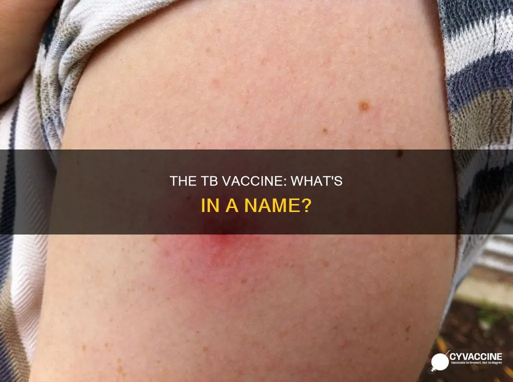 what is the name of the tb vaccine