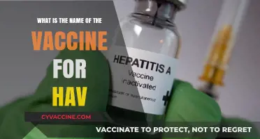 Understanding HAV: The Name and Importance of the Hepatitis A Vaccine
