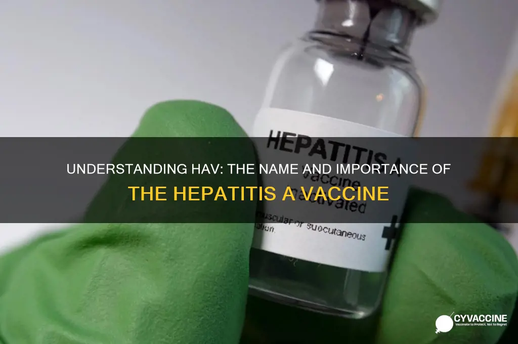 what is the name of the vaccine for hav