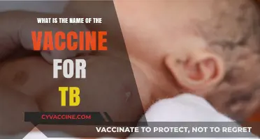 Understanding the BCG Vaccine: The Primary Defense Against Tuberculosis