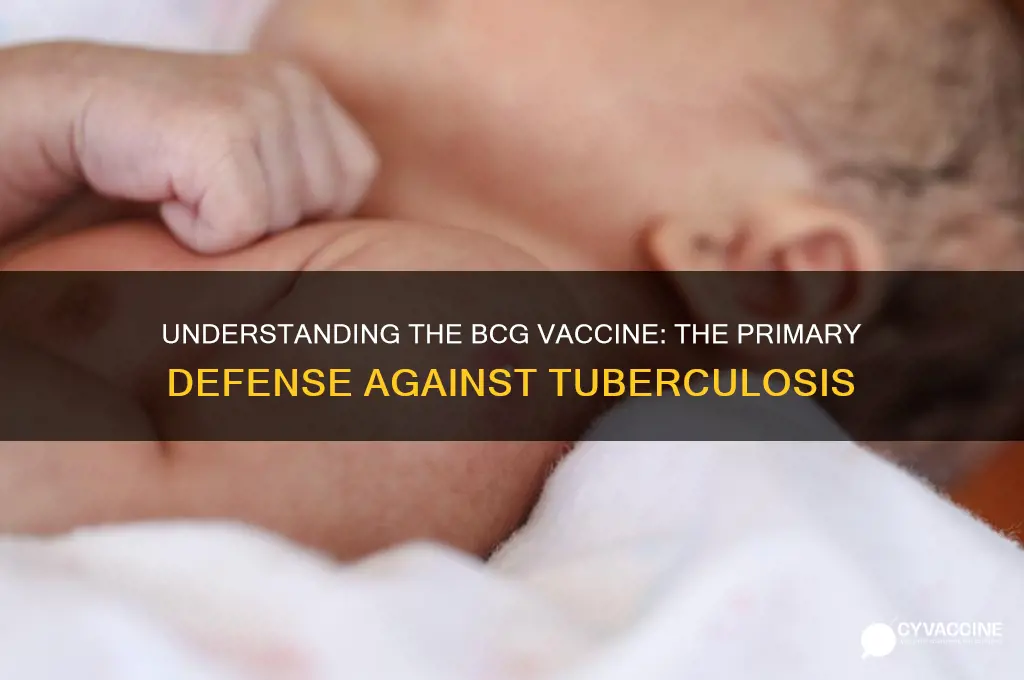 what is the name of the vaccine for tb