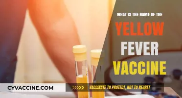 Yellow Fever Vaccine: Know the Name, Stay Safe