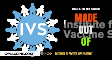 Unveiling the Ingredients: What’s Inside the New Vaccine?