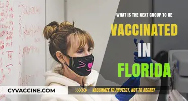 Florida's Vaccine Rollout: Who's Next in Line for Inoculation?