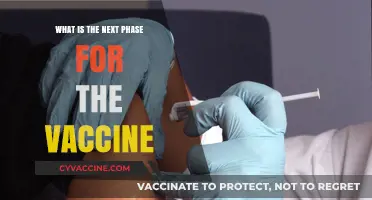 The Future of Vaccines: Innovations, Challenges, and Global Distribution