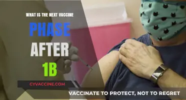 Beyond Phase 1B: Understanding the Next Steps in Vaccine Distribution