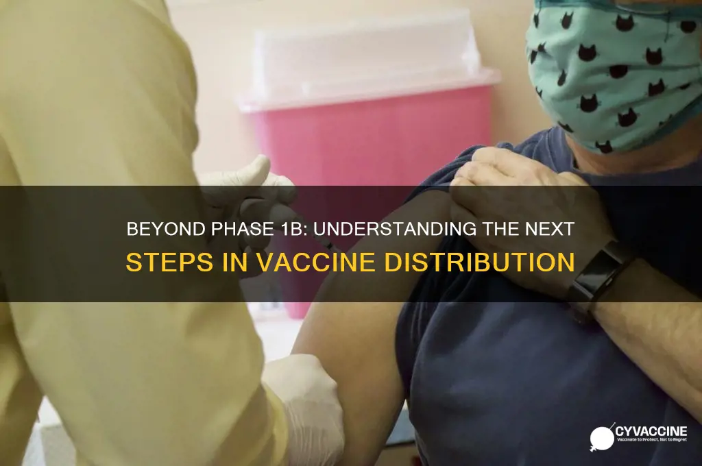 what is the next vaccine phase after 1b