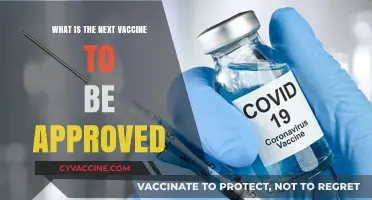 Upcoming Vaccine Approvals: What’s Next in Global Health Protection?