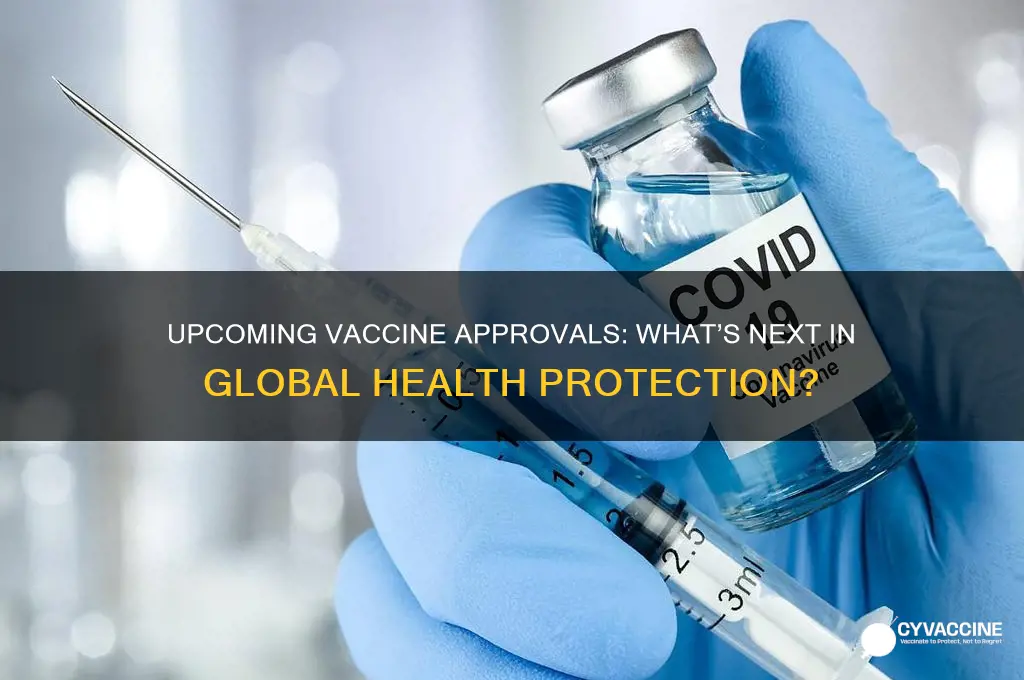 what is the next vaccine to be approved