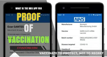 NHS App: Your Digital Proof of COVID-19 Vaccination Explained
