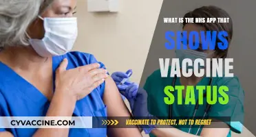 Understanding the NHS App: How to Access Your Vaccine Status