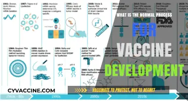 Understanding the Standard Steps in Vaccine Development and Approval